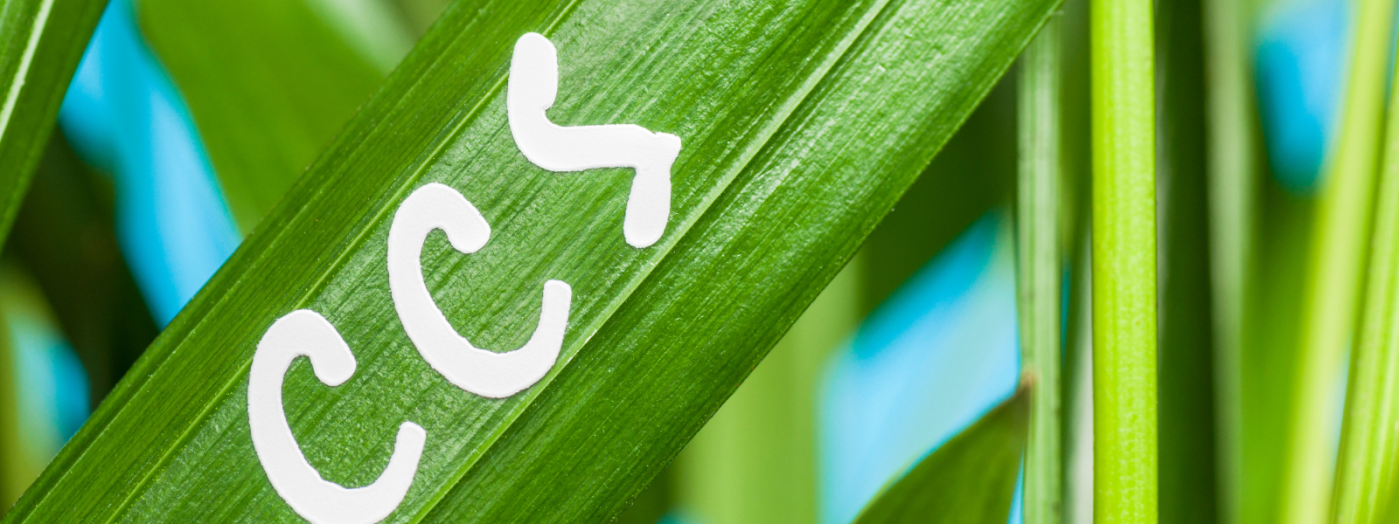 Market Update CCS Germany